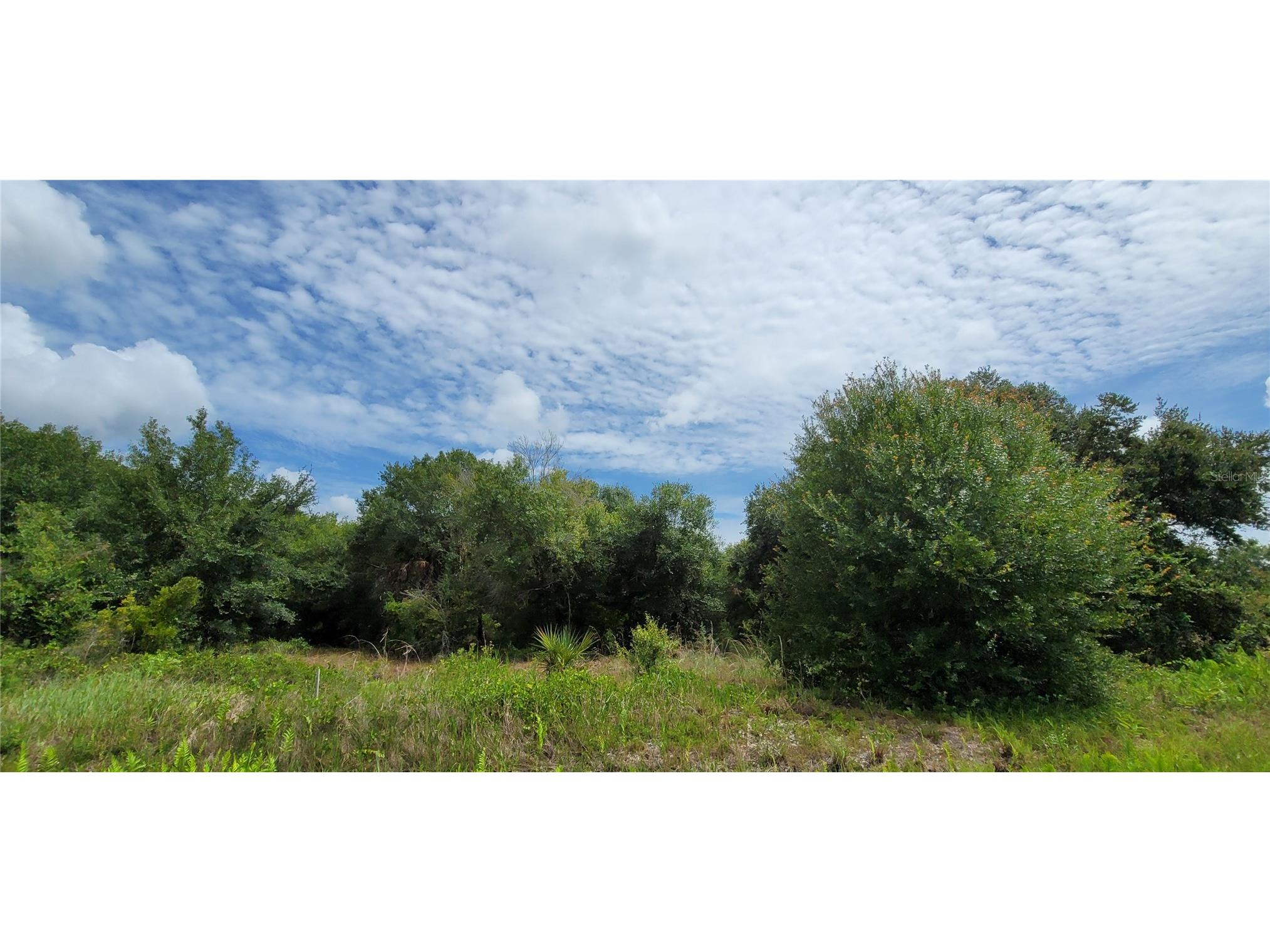 20366 NW 270th Street Okeechobee FL 34972 O6422363 image19