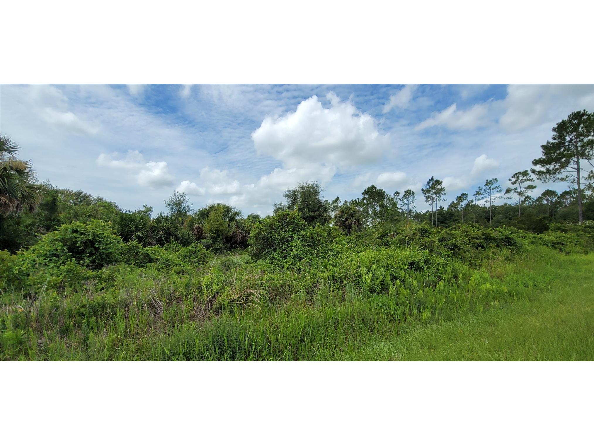 20366 NW 270th Street Okeechobee FL 34972 O6422363 image2