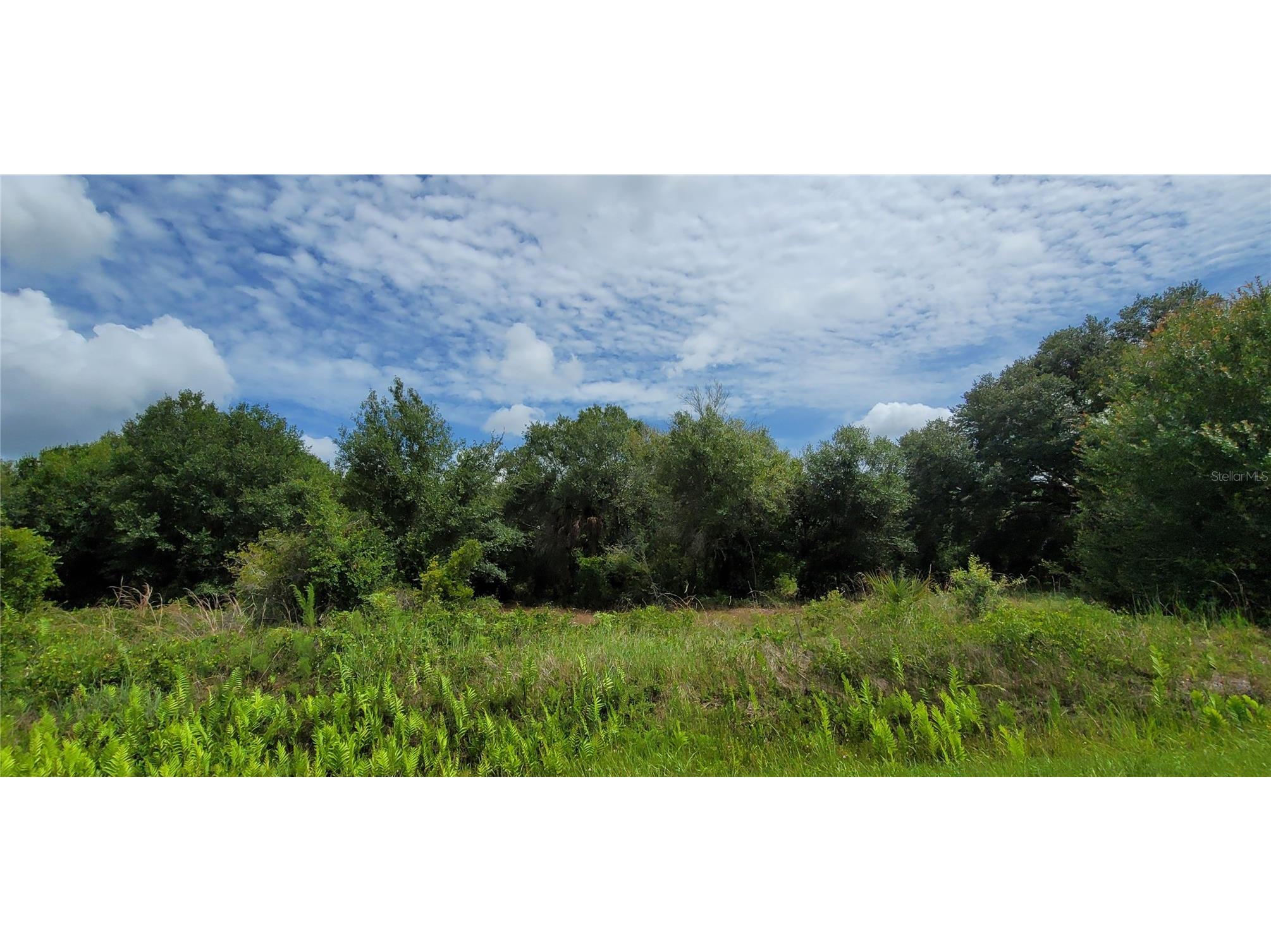 20366 NW 270th Street Okeechobee FL 34972 O6422363 image20