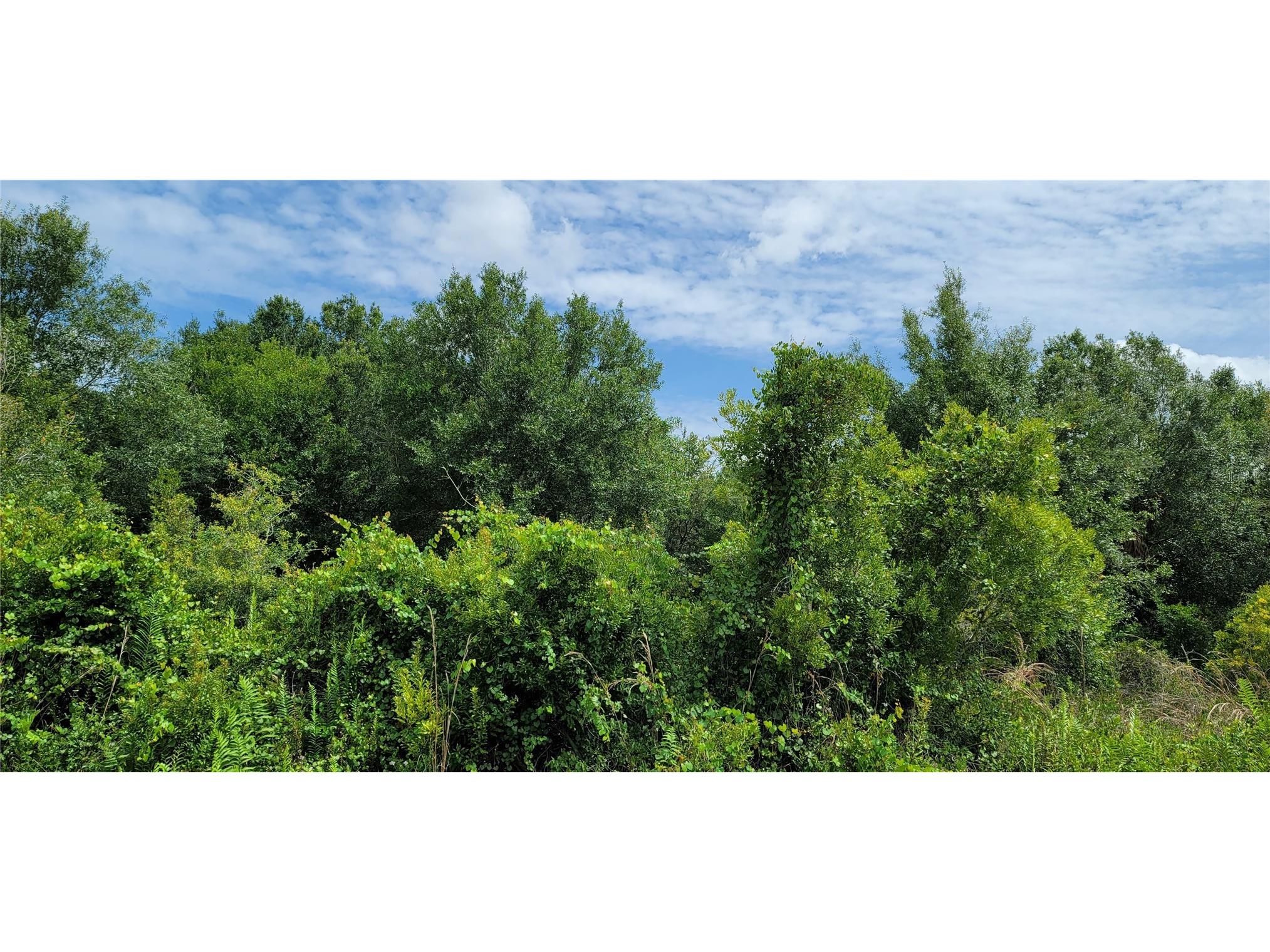 20366 NW 270th Street Okeechobee FL 34972 O6422363 image21