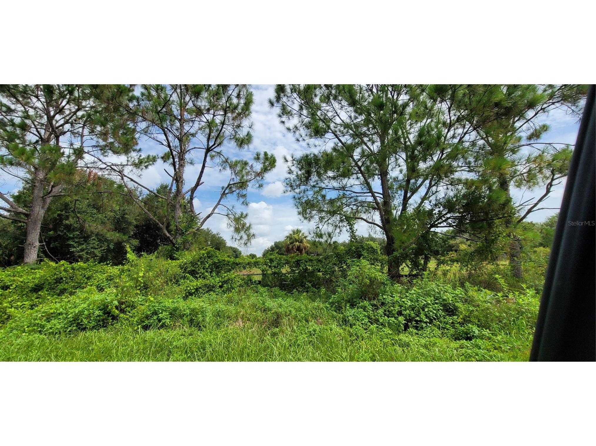20366 NW 270th Street Okeechobee FL 34972 O6422363 image23