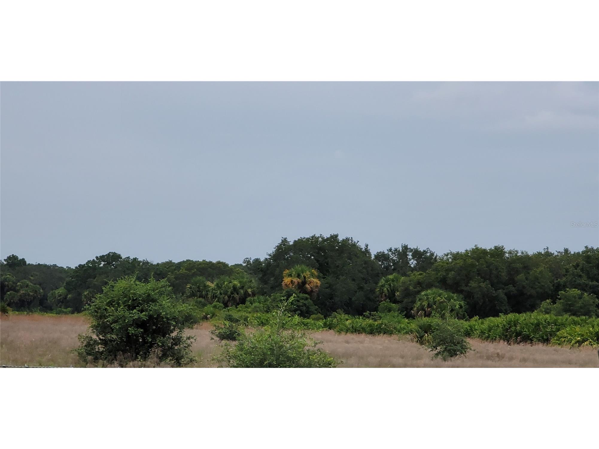 20366 NW 270th Street Okeechobee FL 34972 O6422363 image29
