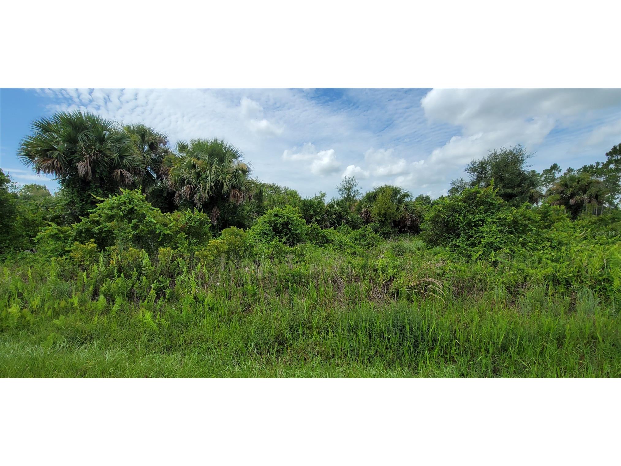 20366 NW 270th Street Okeechobee FL 34972 O6422363 image3