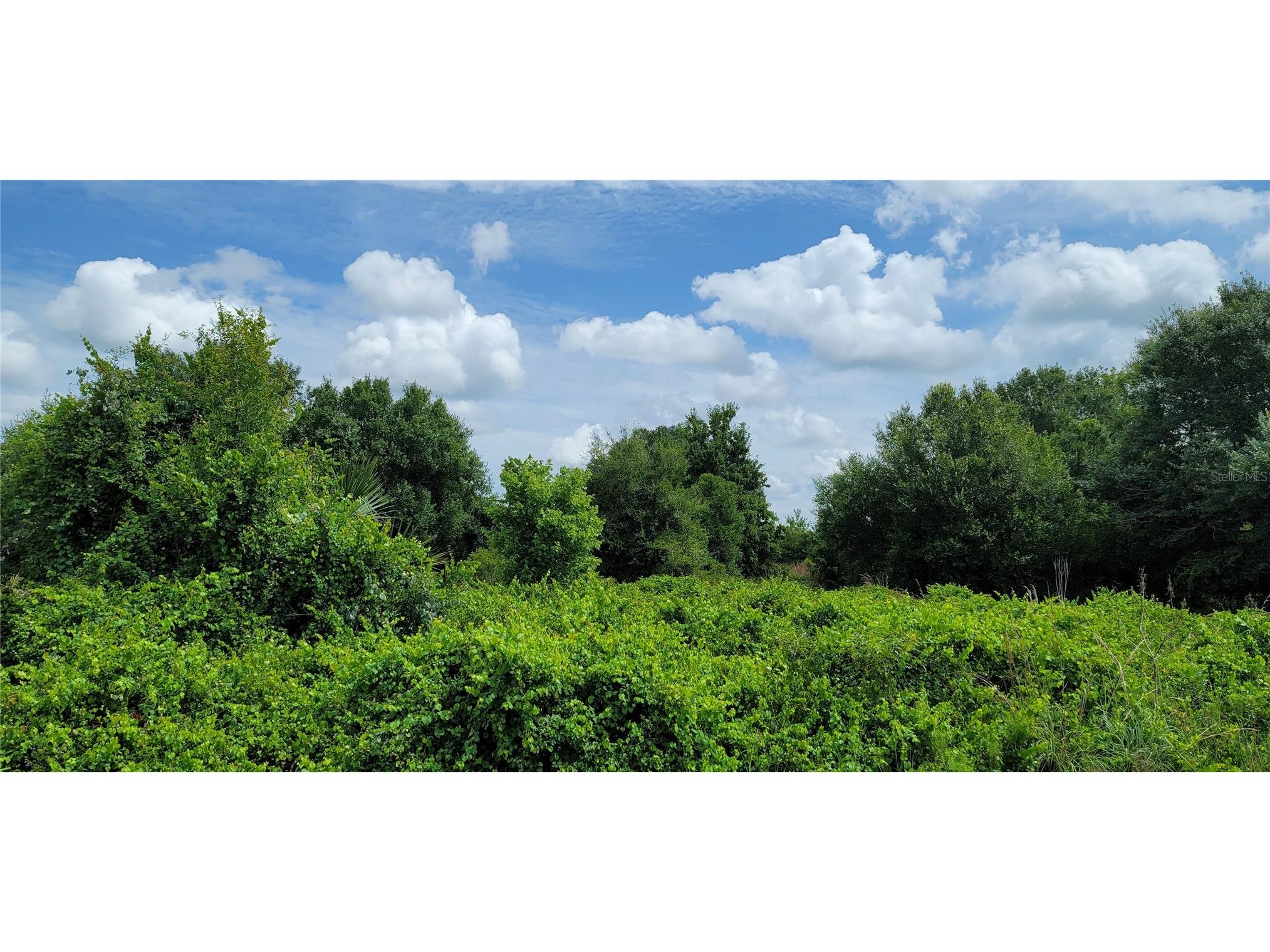 20366 NW 270th Street Okeechobee FL 34972 O6422363 image7