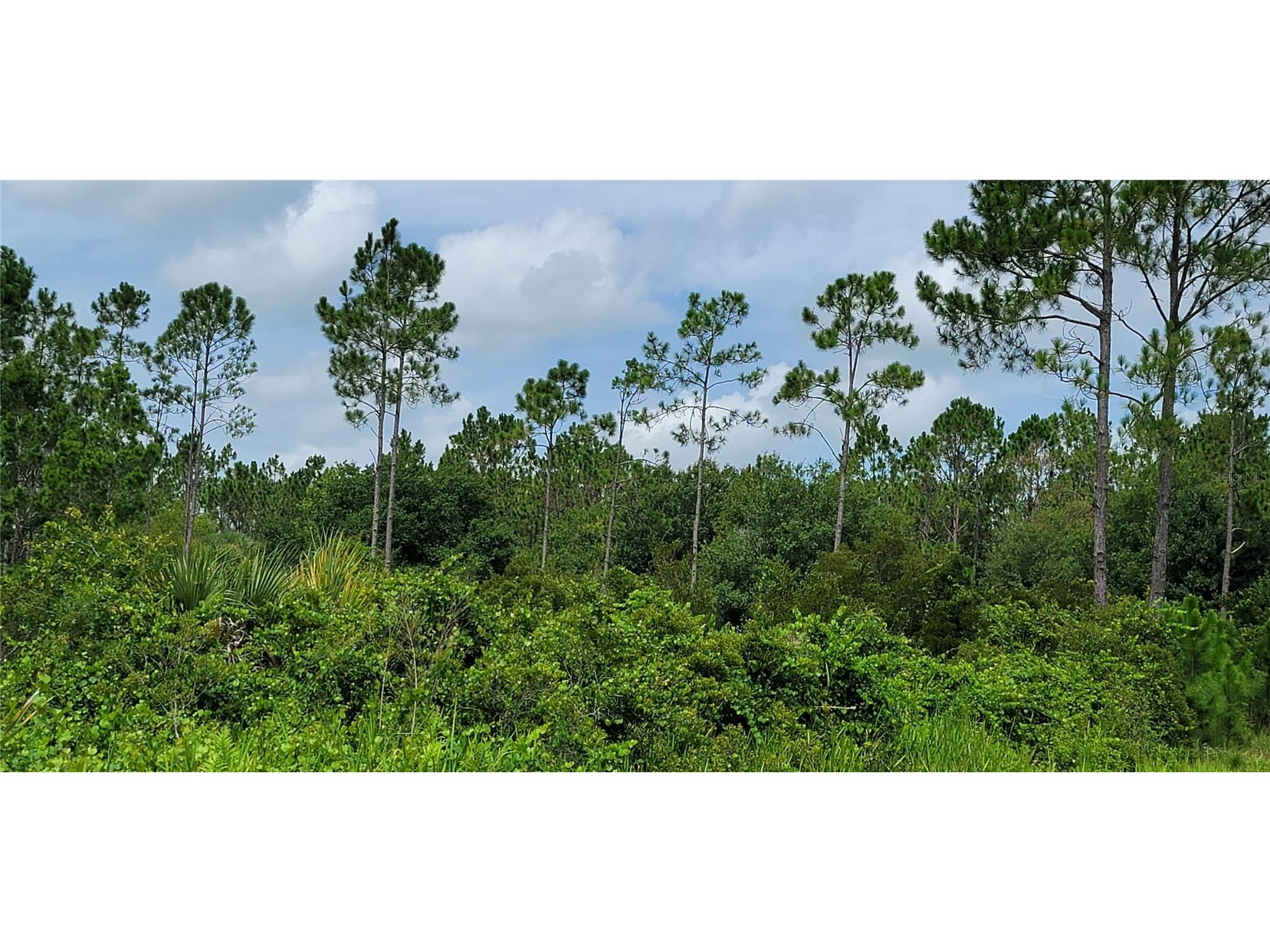 20366 NW 270th Street Okeechobee FL 34972 O6422363 image9