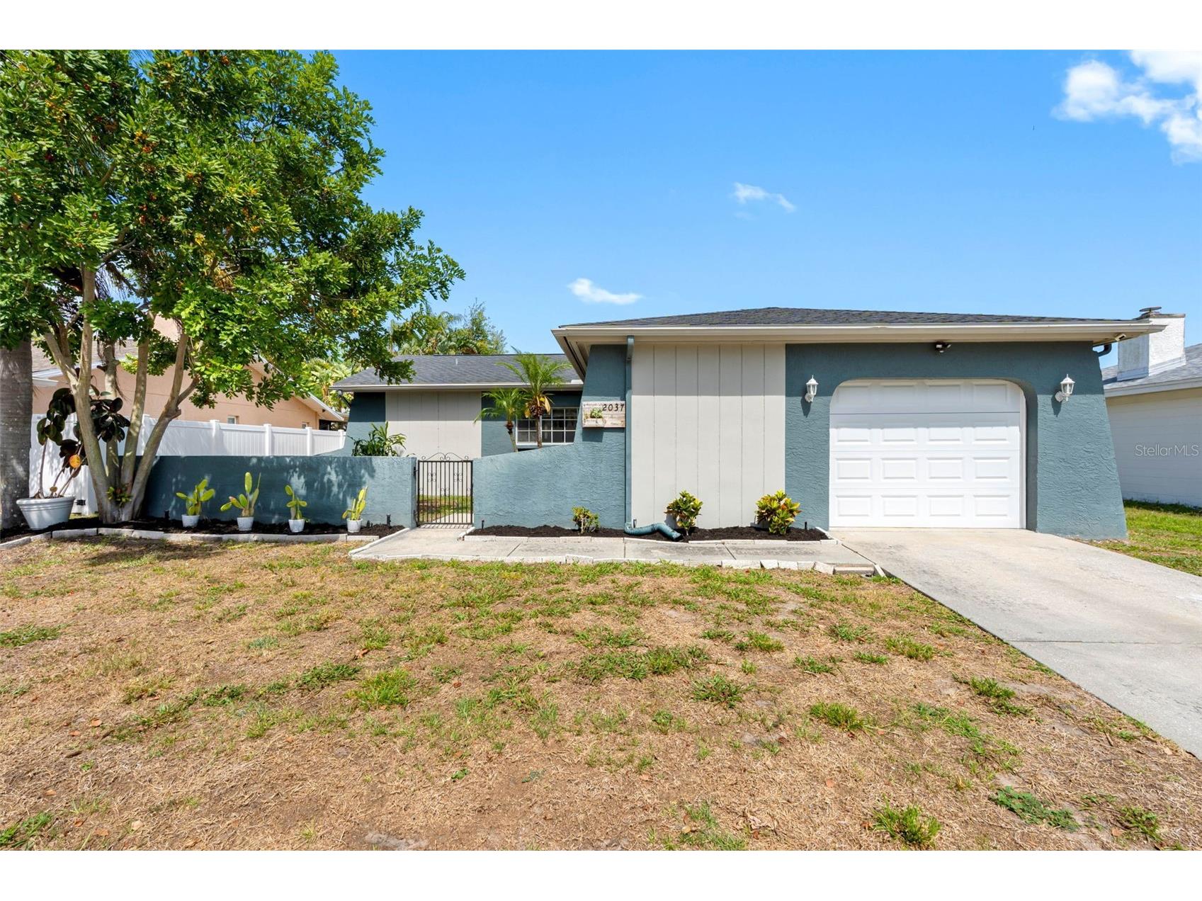 2037 Citrus Hill Lane Palm Harbor FL 34683 TB8507779 image1