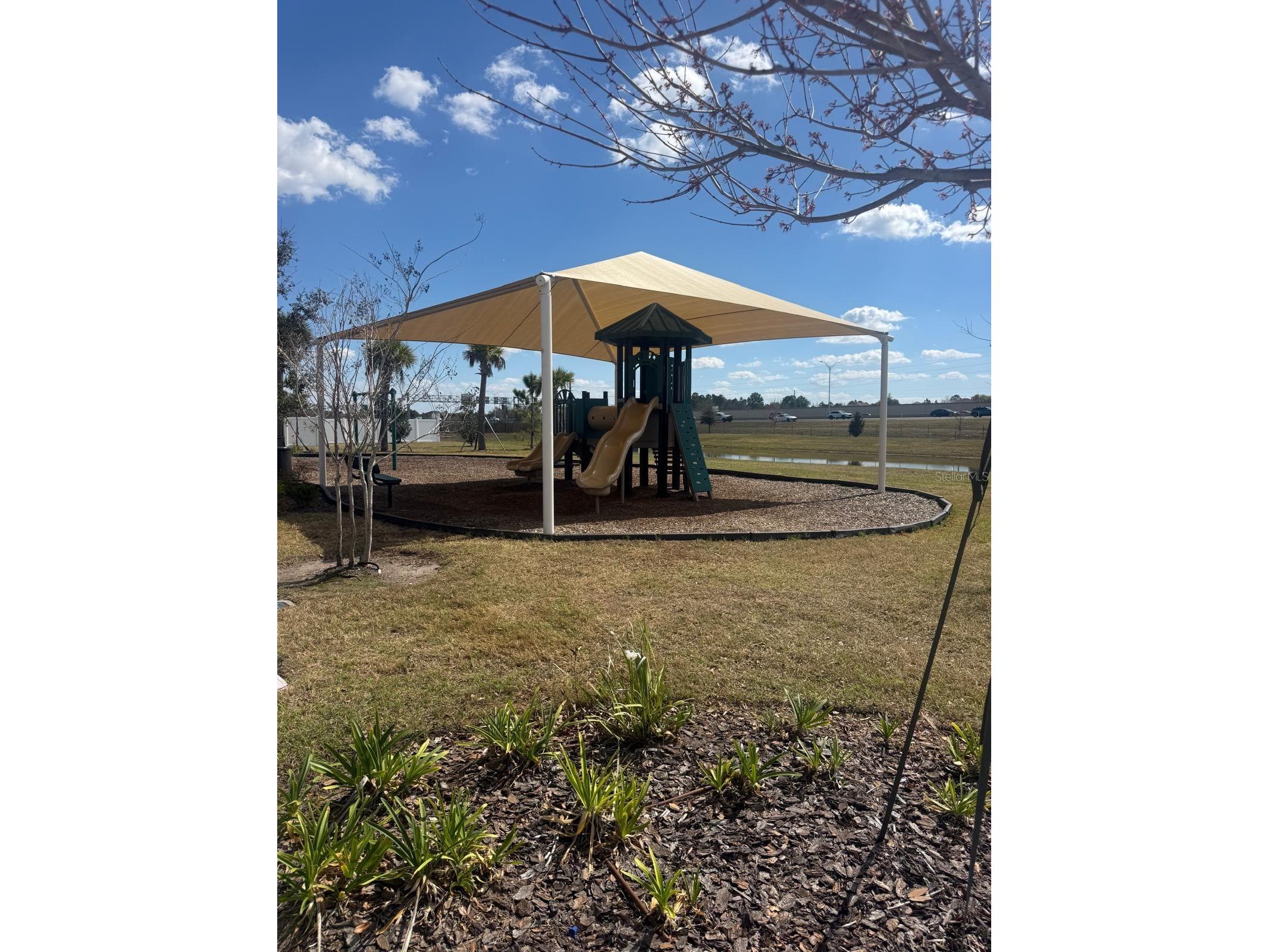 2037 Crape Jasmine Lane Orlando FL 32824 S5144335 image19