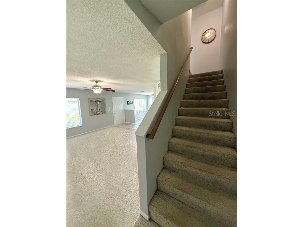 2037 Fluorshire Drive Brandon FL 33511 TB8414196 image18