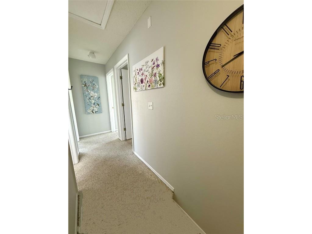 2037 Fluorshire Drive Brandon FL 33511 TB8414196 image19