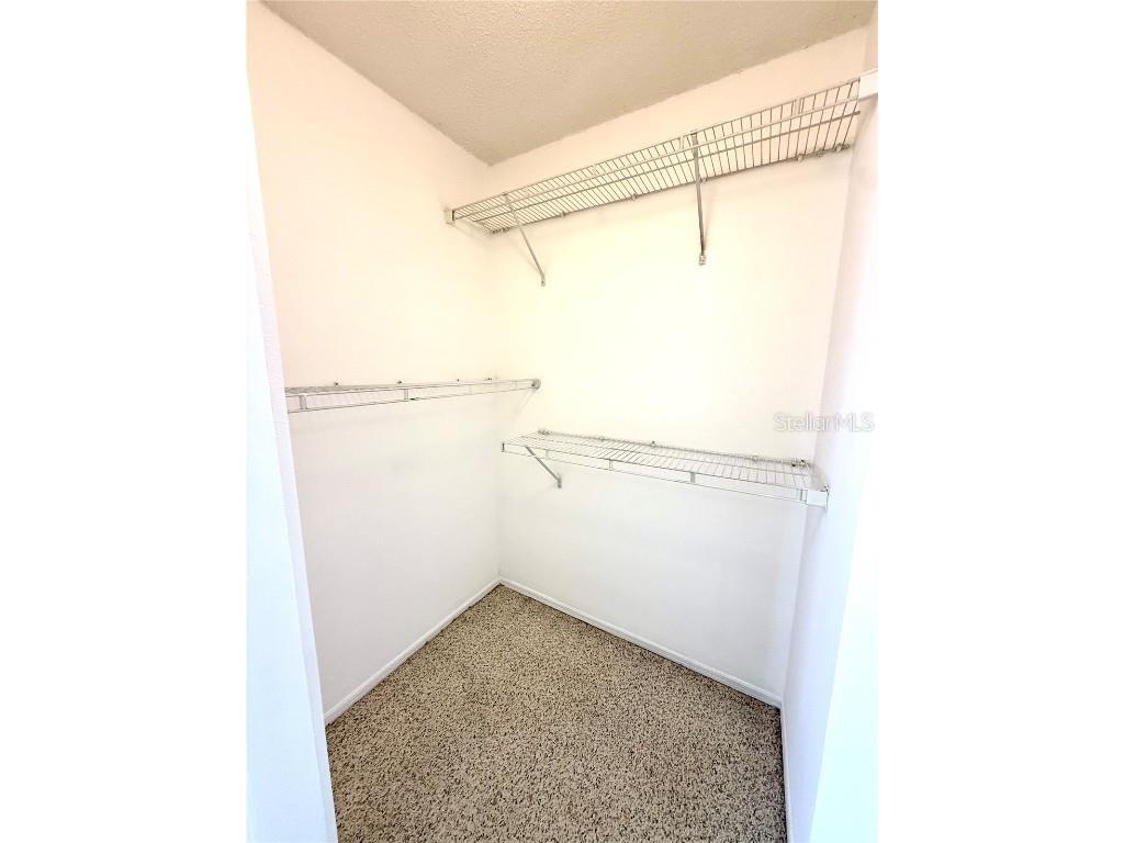 2037 Fluorshire Drive Brandon FL 33511 TB8414196 image22