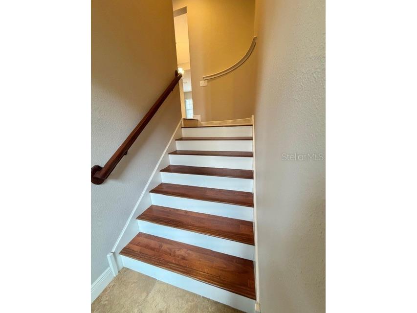 2037 Lobelia Drive Lake Mary FL 32746 O6384288 image6