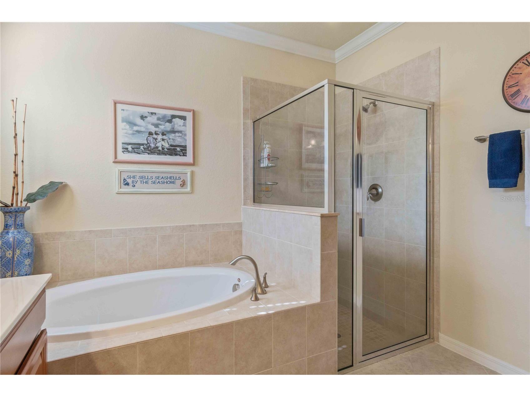 20370 Grazie Place Venice FL 34293 C7520100 image48