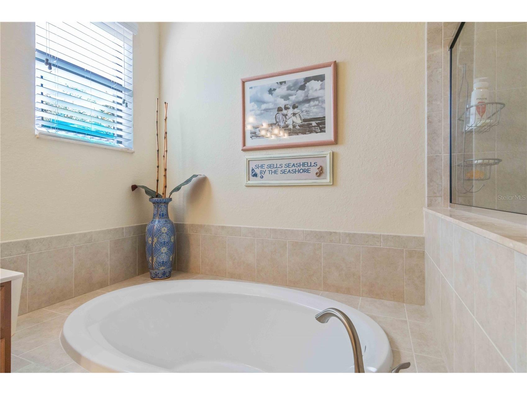 20370 Grazie Place Venice FL 34293 C7520100 image49