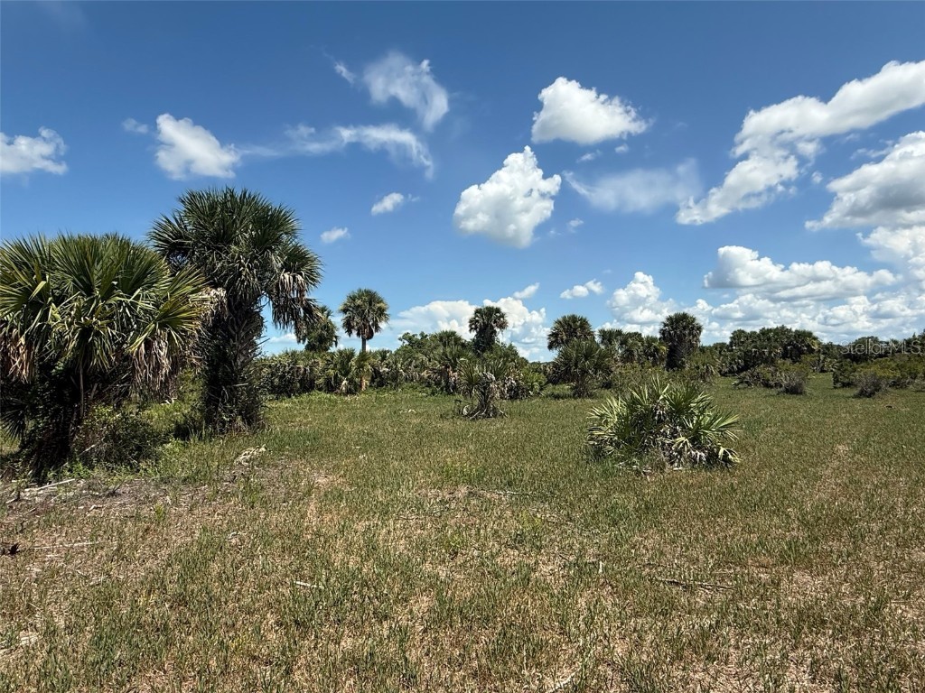 20376 NW 278th Street Okeechobee FL 34972 OK225347 image1