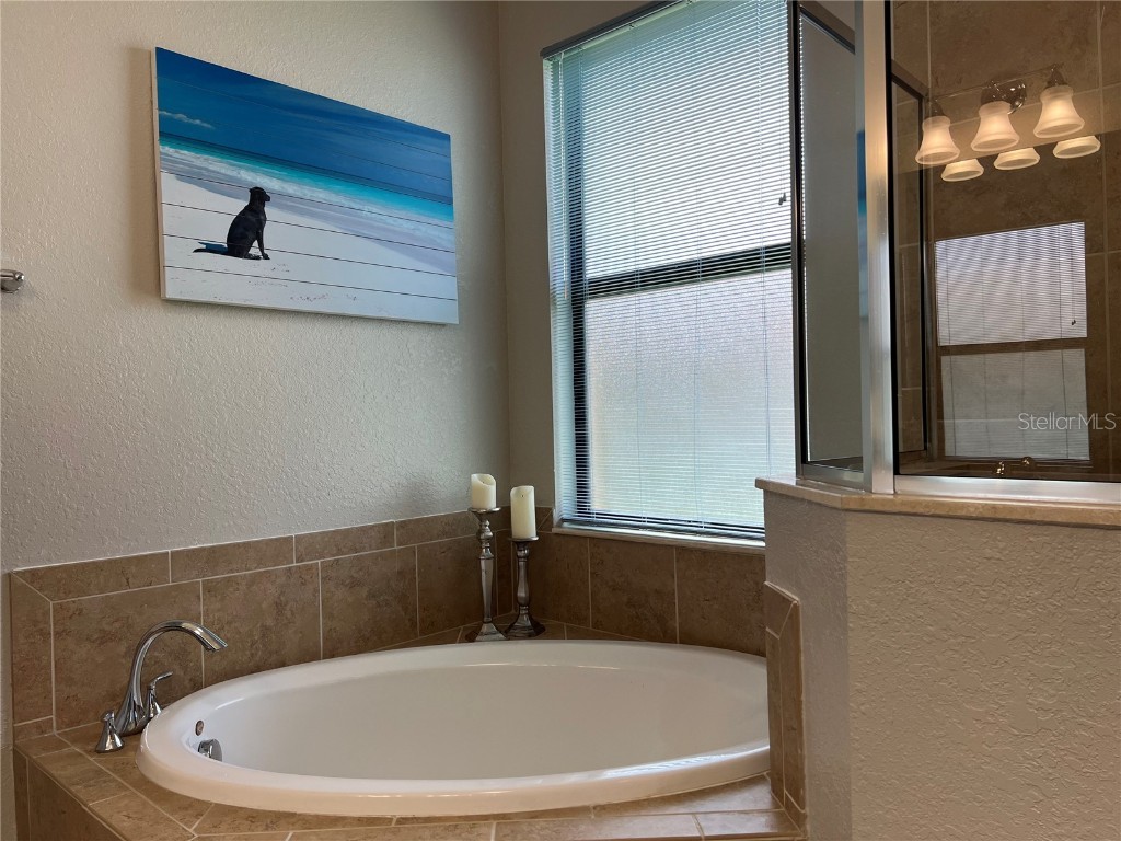 20377 Benissimo Drive Venice FL 34293 A4663716 image23