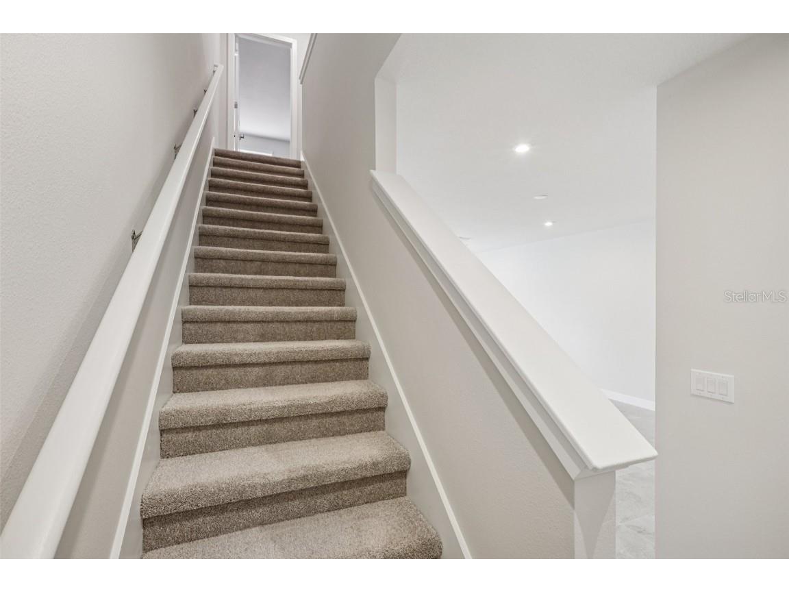 20377 Lou Angela Lane Lutz FL 33558 TB8434941 image15