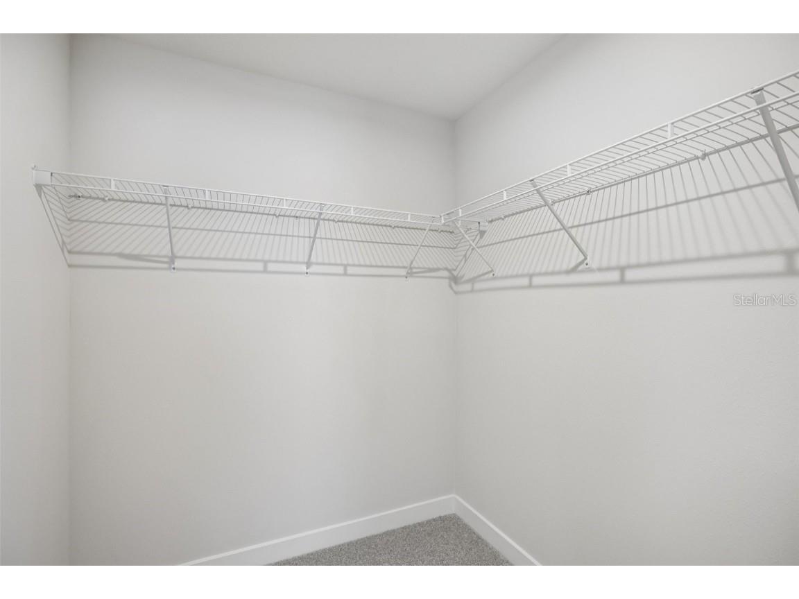 20377 Lou Angela Lane Lutz FL 33558 TB8434941 image23