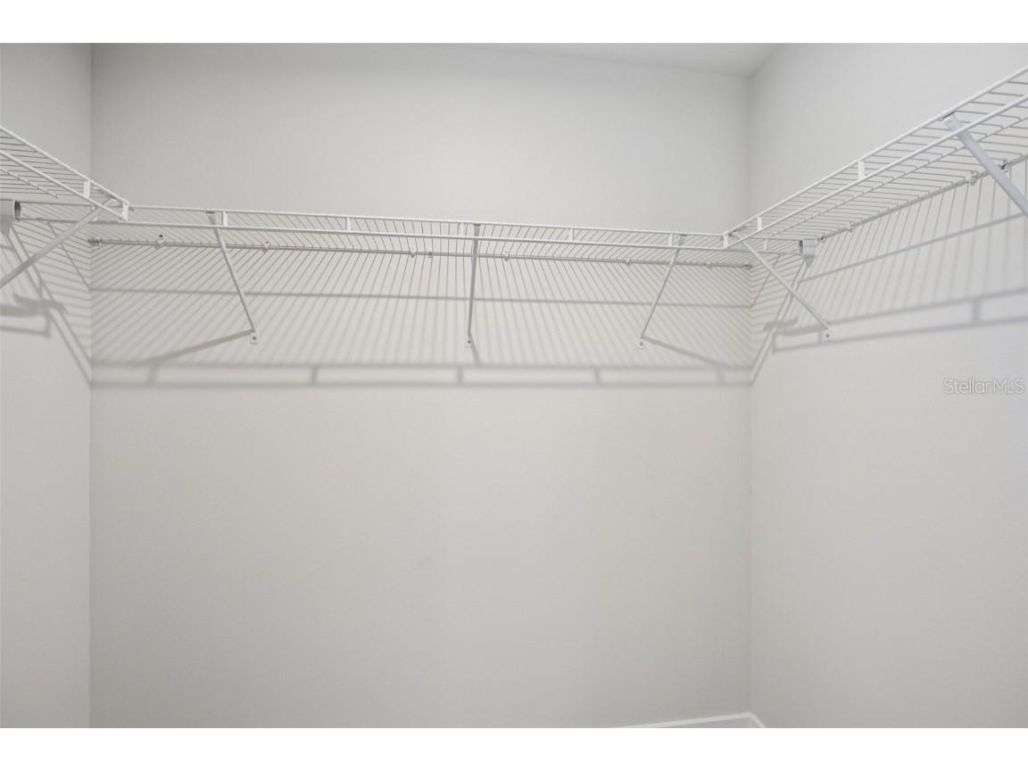 20377 Lou Angela Lane Lutz FL 33558 TB8434941 image24