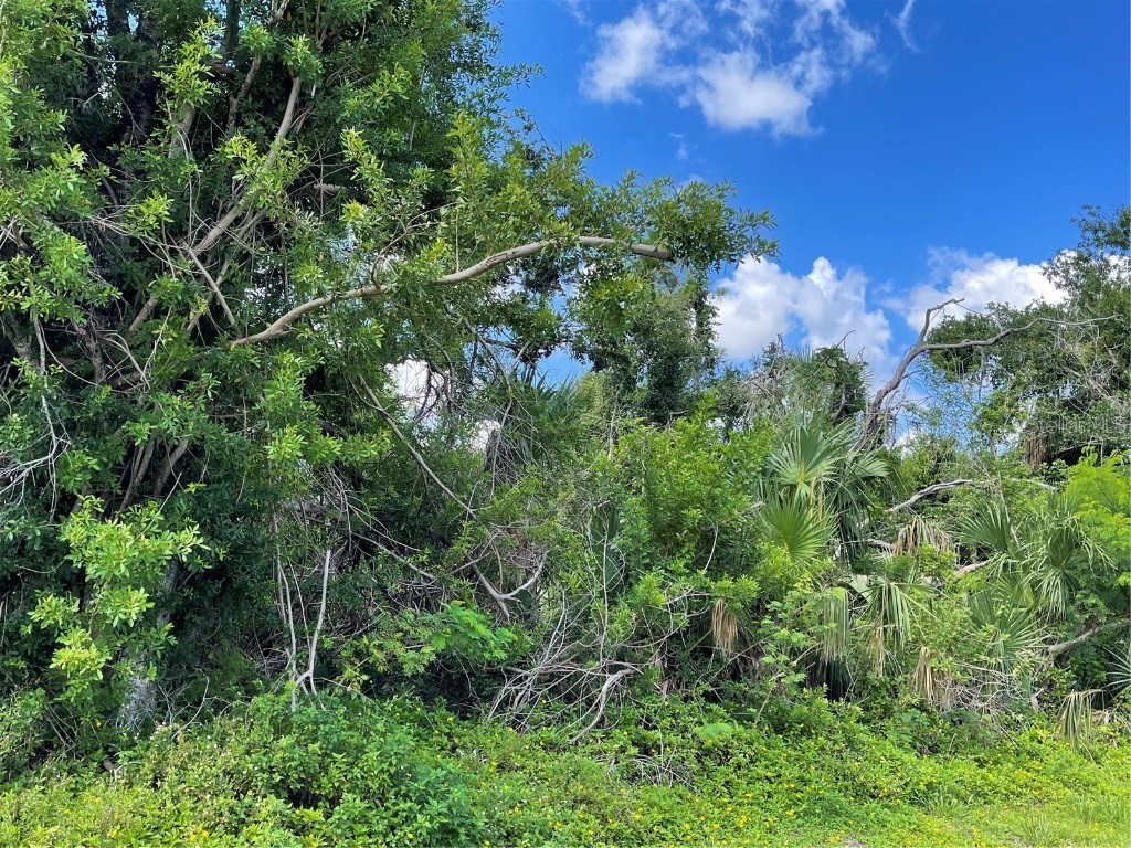 20379 Copeland Avenue Port Charlotte FL 33952 C7476531 image1