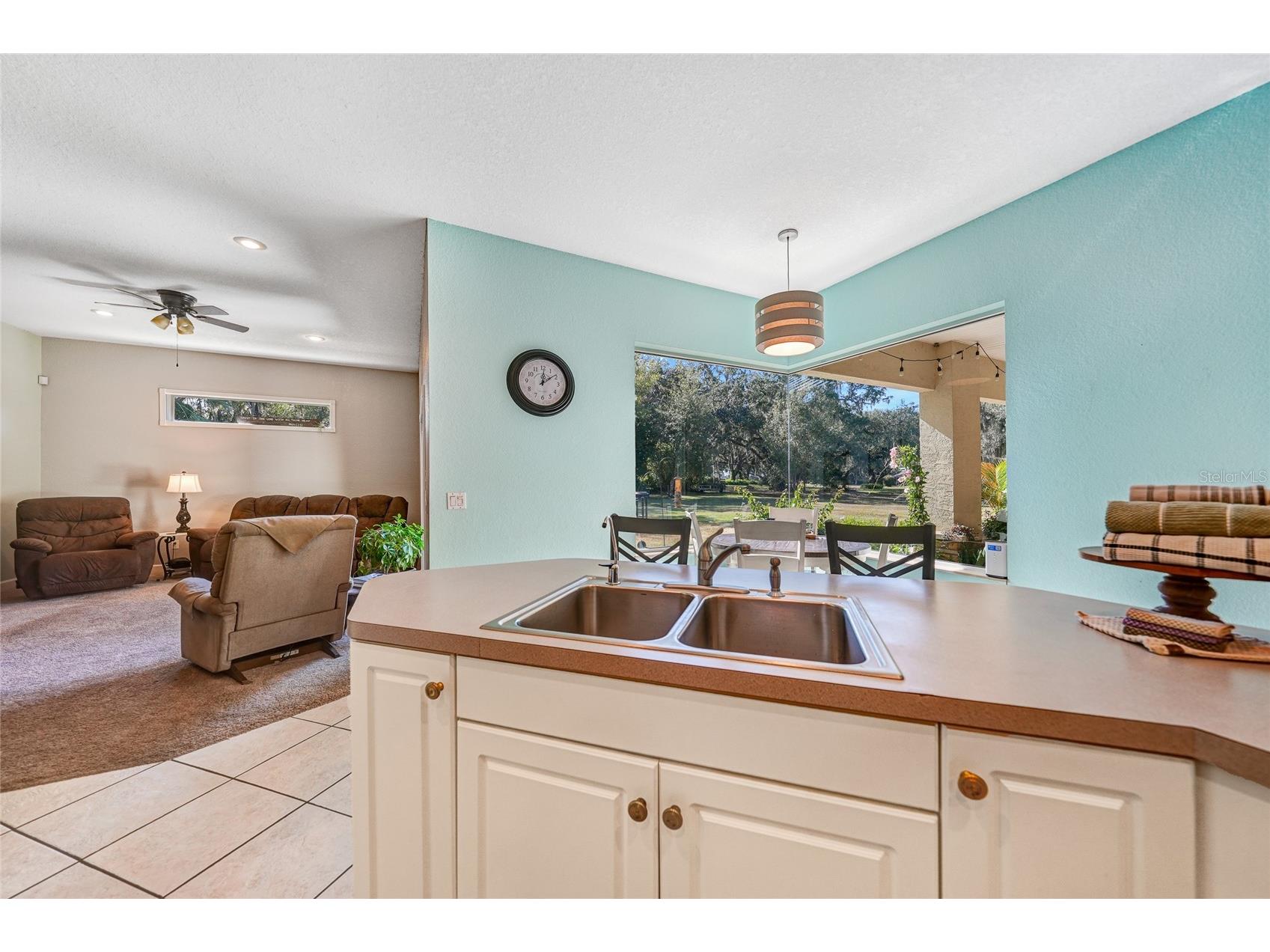 2038 & 2066 NE Voss Oaks Circle Arcadia FL 34266 C7519641 image10