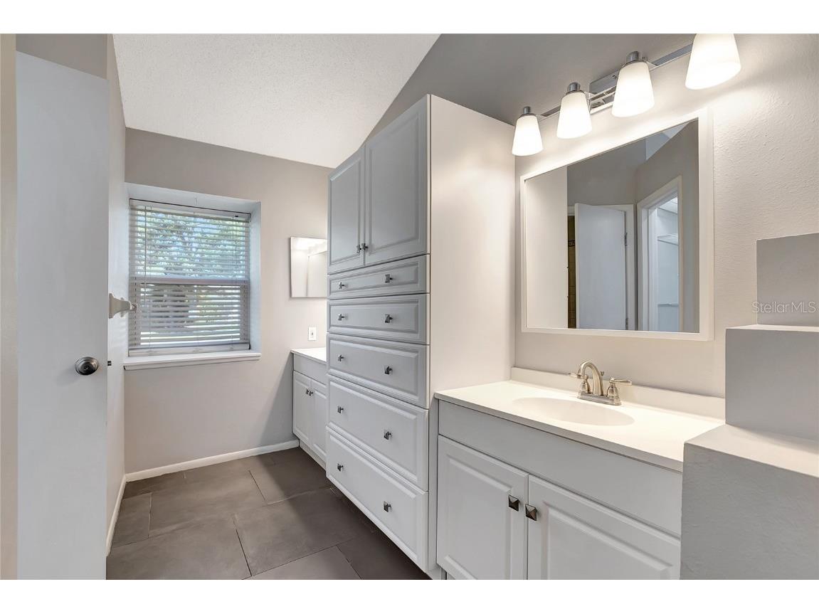 2038 Bonnie Avenue Palm Harbor FL 34683 TB8446100 image17