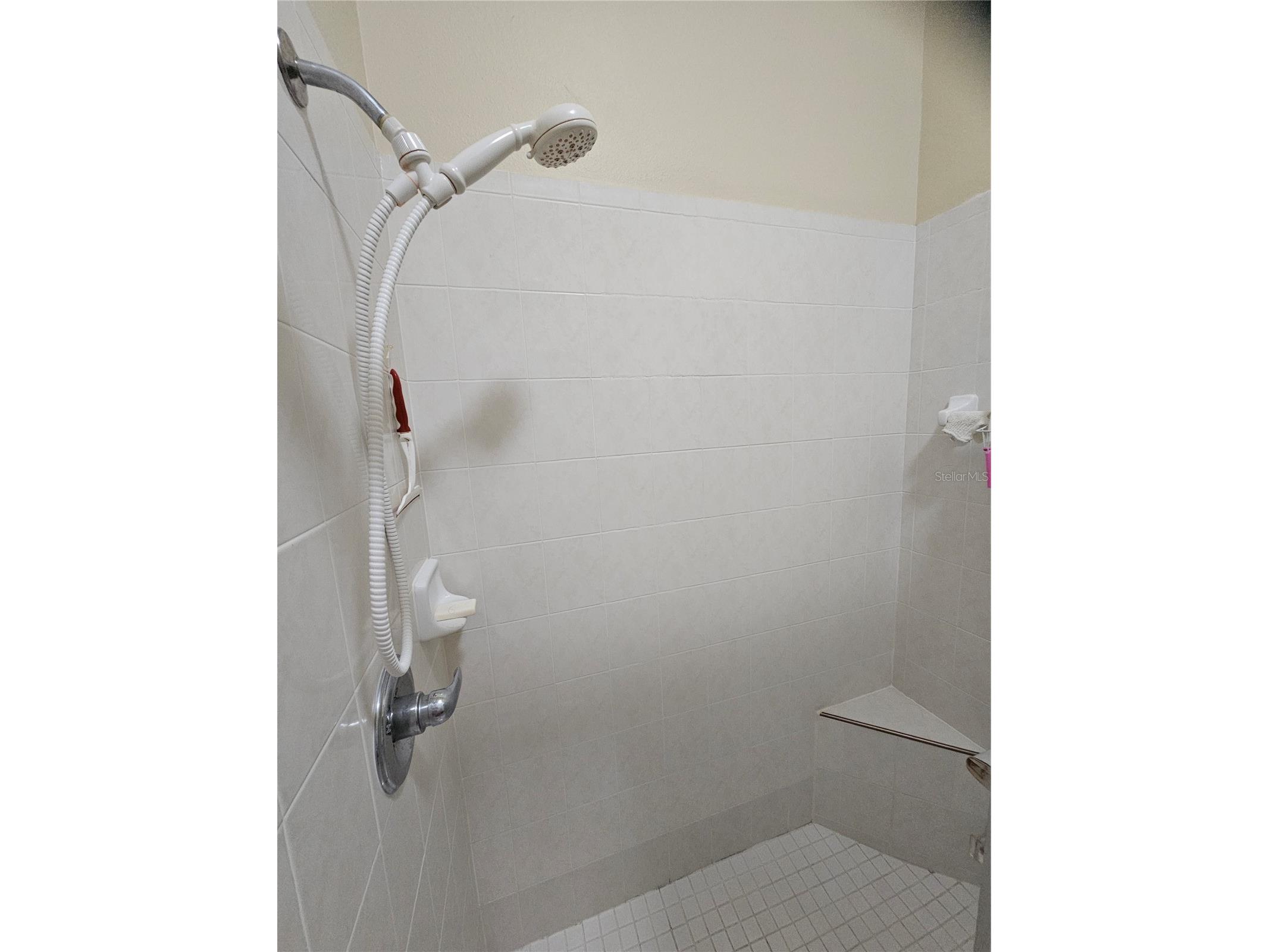2038 Grantham Greens Drive #2038 Sun City Center FL 33573 TB8500488 image21