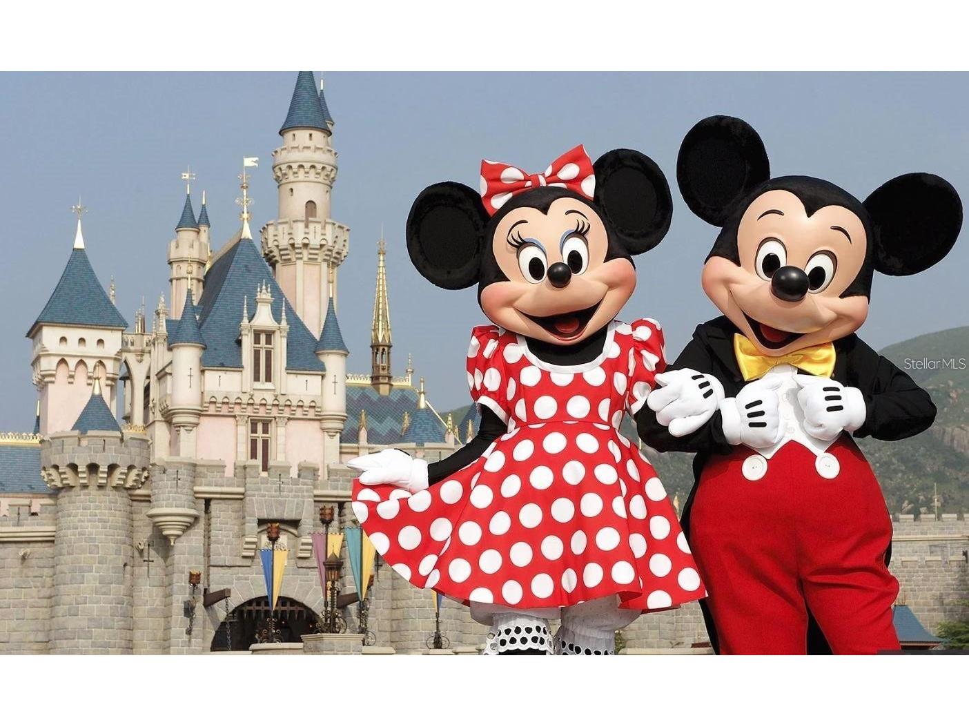 2038 Grantham Greens Drive #2038 Sun City Center FL 33573 TB8500488 image56