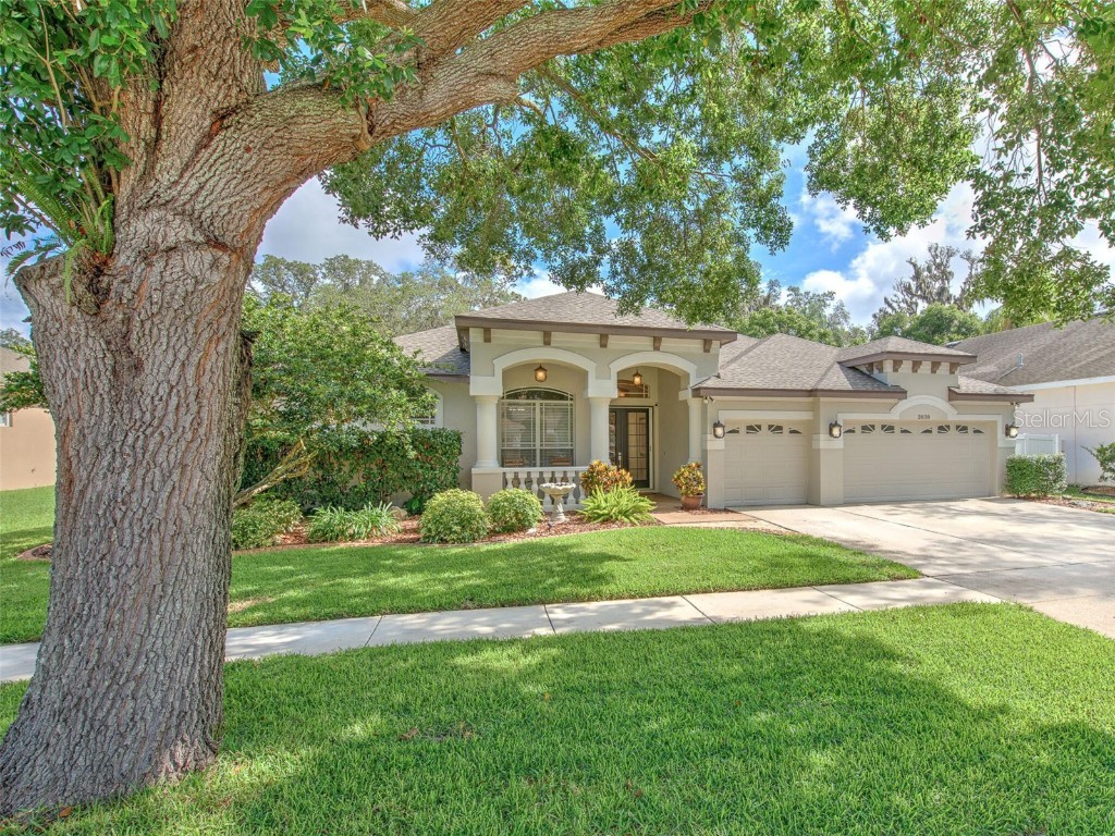 2038 Wexford Green Drive Valrico FL 33594 T3448810 image1