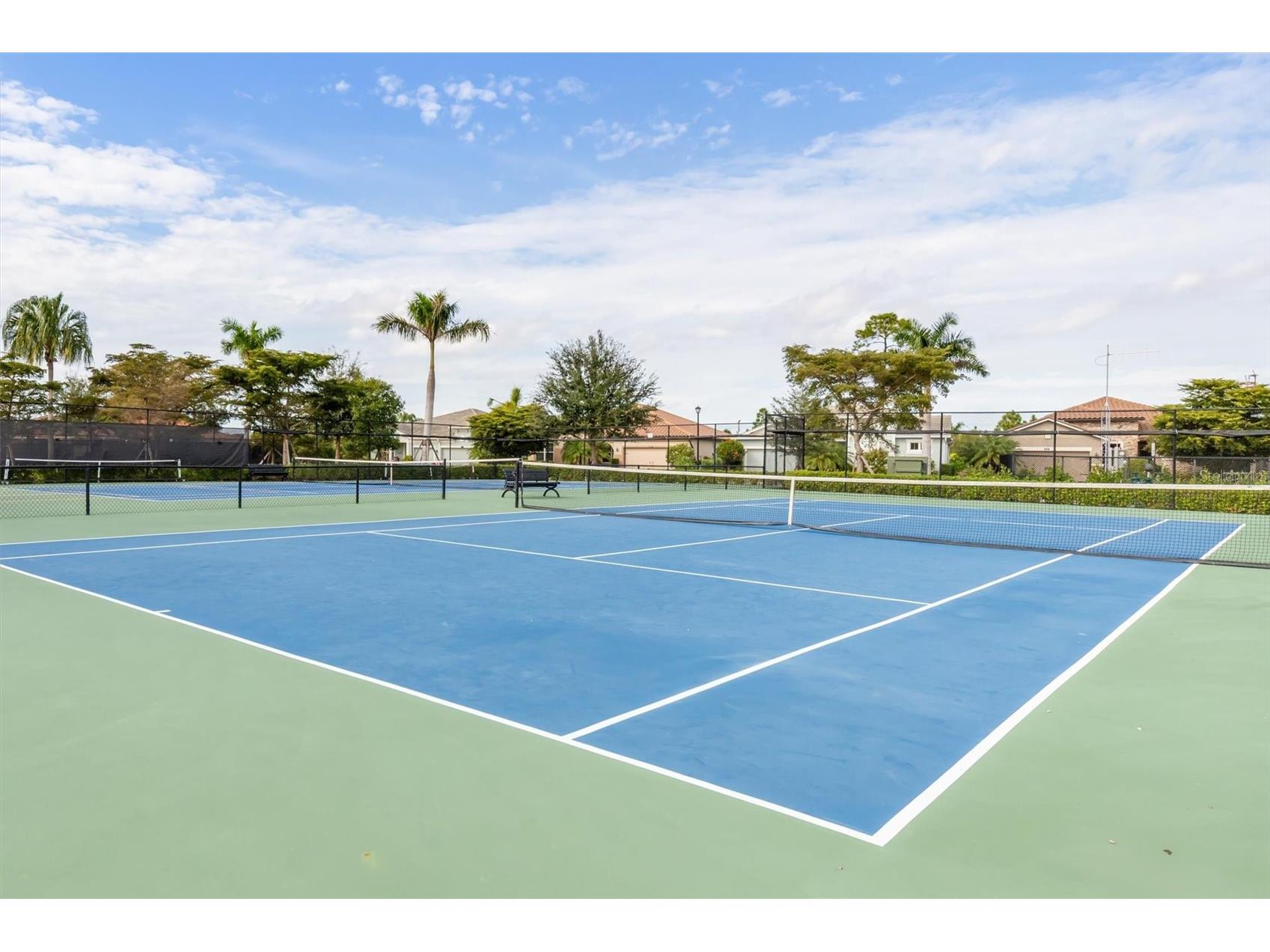 20389 Minuet Place Venice FL 34293 D6147510 image50