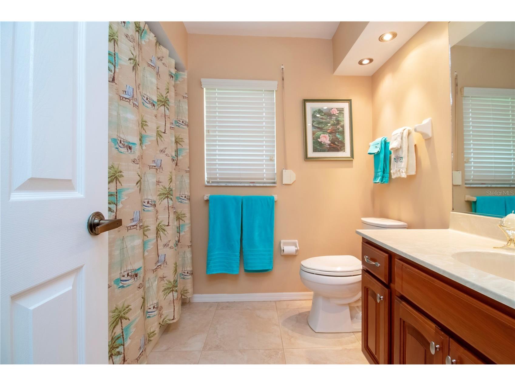 2039 Berry Roberts Drive Sun City Center FL 33573 TB8420719 image35