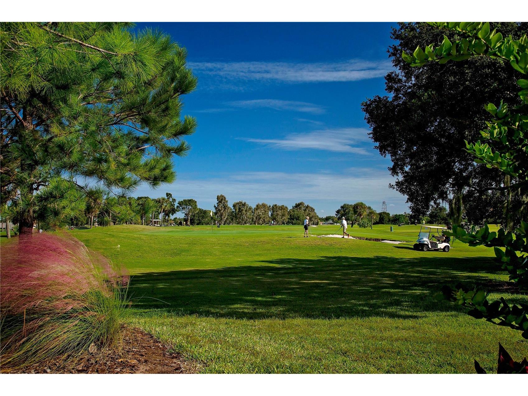 2039 Berry Roberts Drive Sun City Center FL 33573 TB8420719 image41