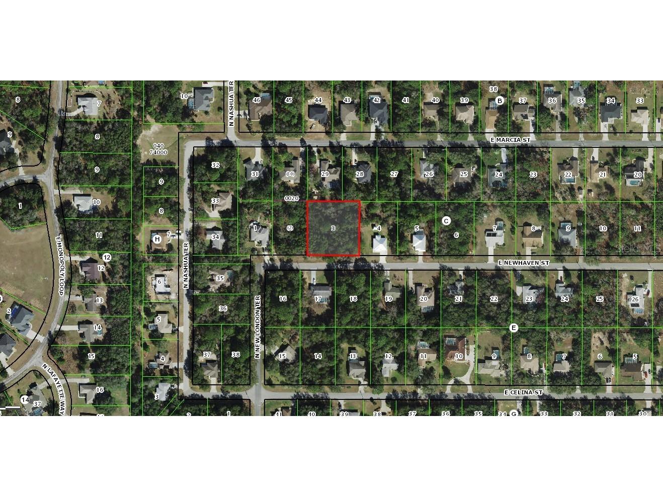 2039 E Newhaven Street Inverness FL 34453 OM718641 image2