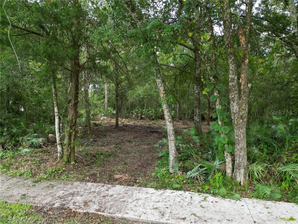 2039 N 6th St Orlando FL 32820 O6345395 image4