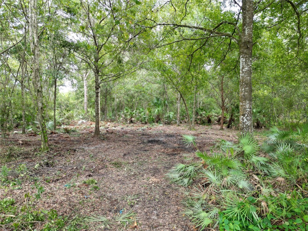 2039 N 6th St Orlando FL 32820 O6345395 image5