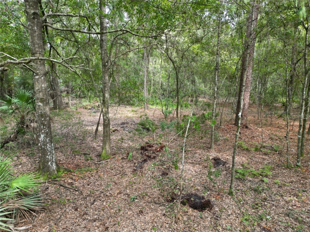 2039 N 6th St Orlando FL 32820 O6345395 image6