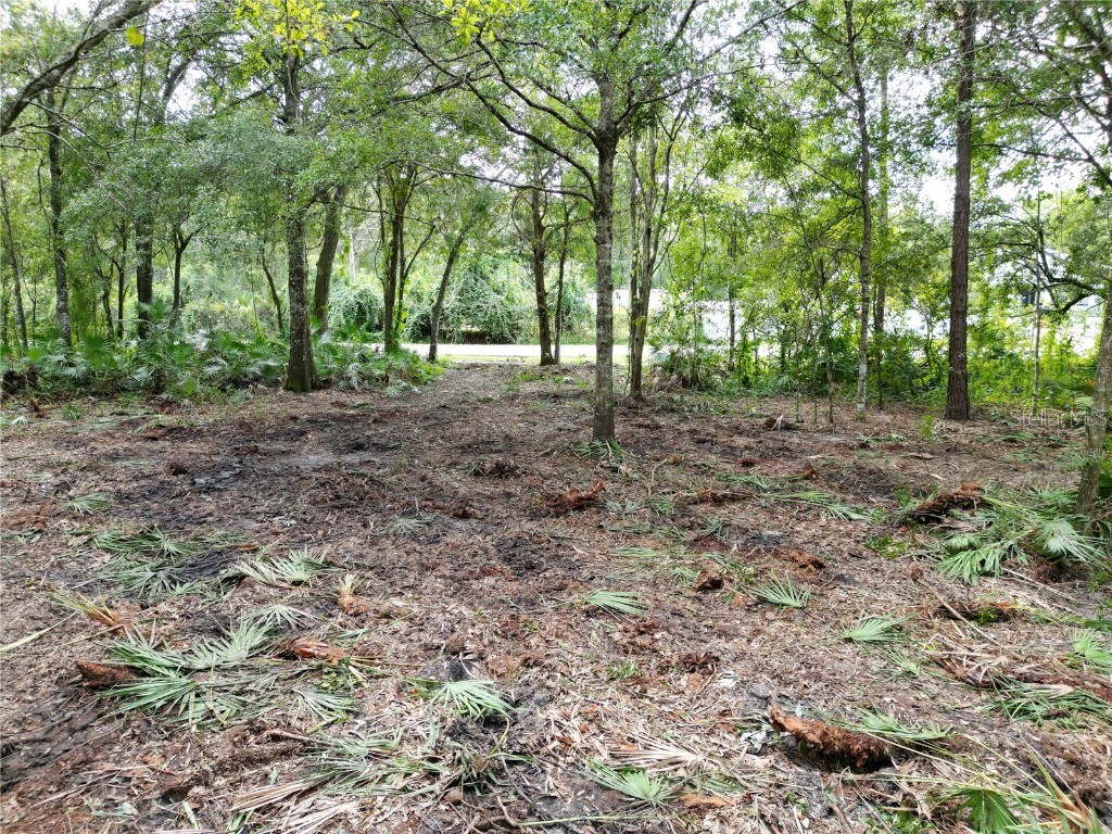 2039 N 6th St Orlando FL 32820 O6345395 image7