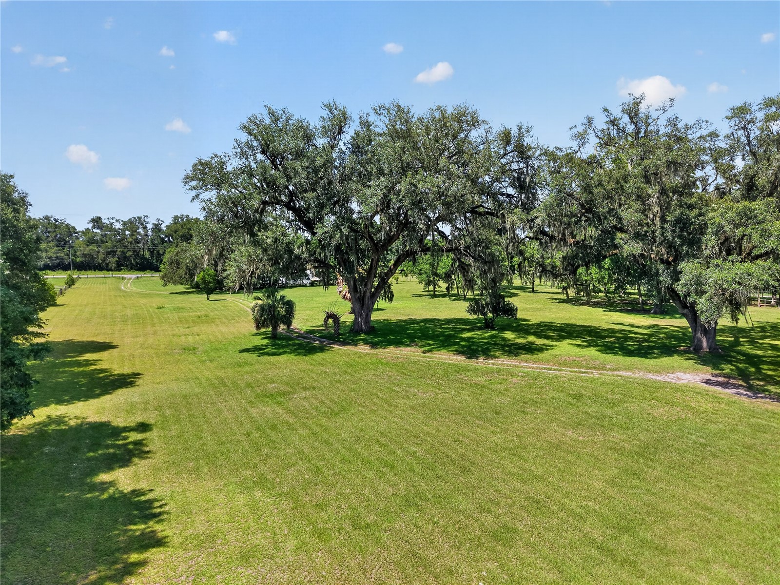 2039 SW State Road 26 Trenton FL 32693 OM727832 image15