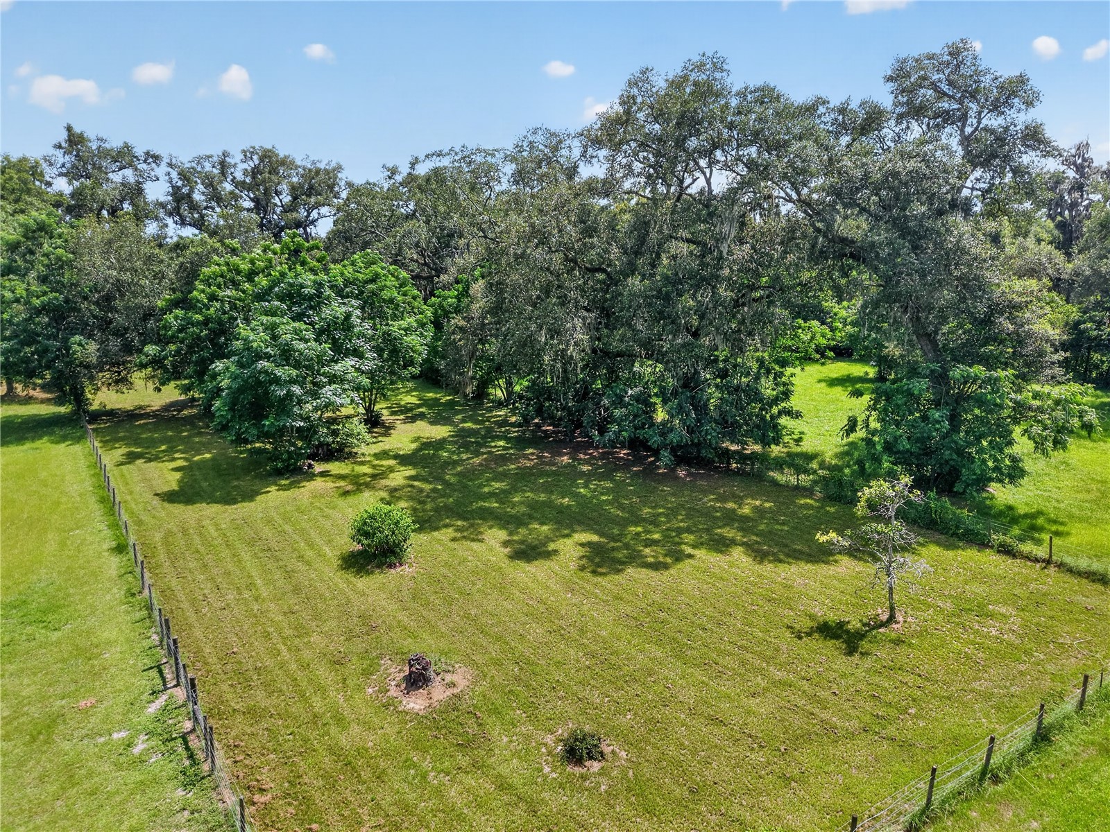 2039 SW State Road 26 Trenton FL 32693 OM727832 image18