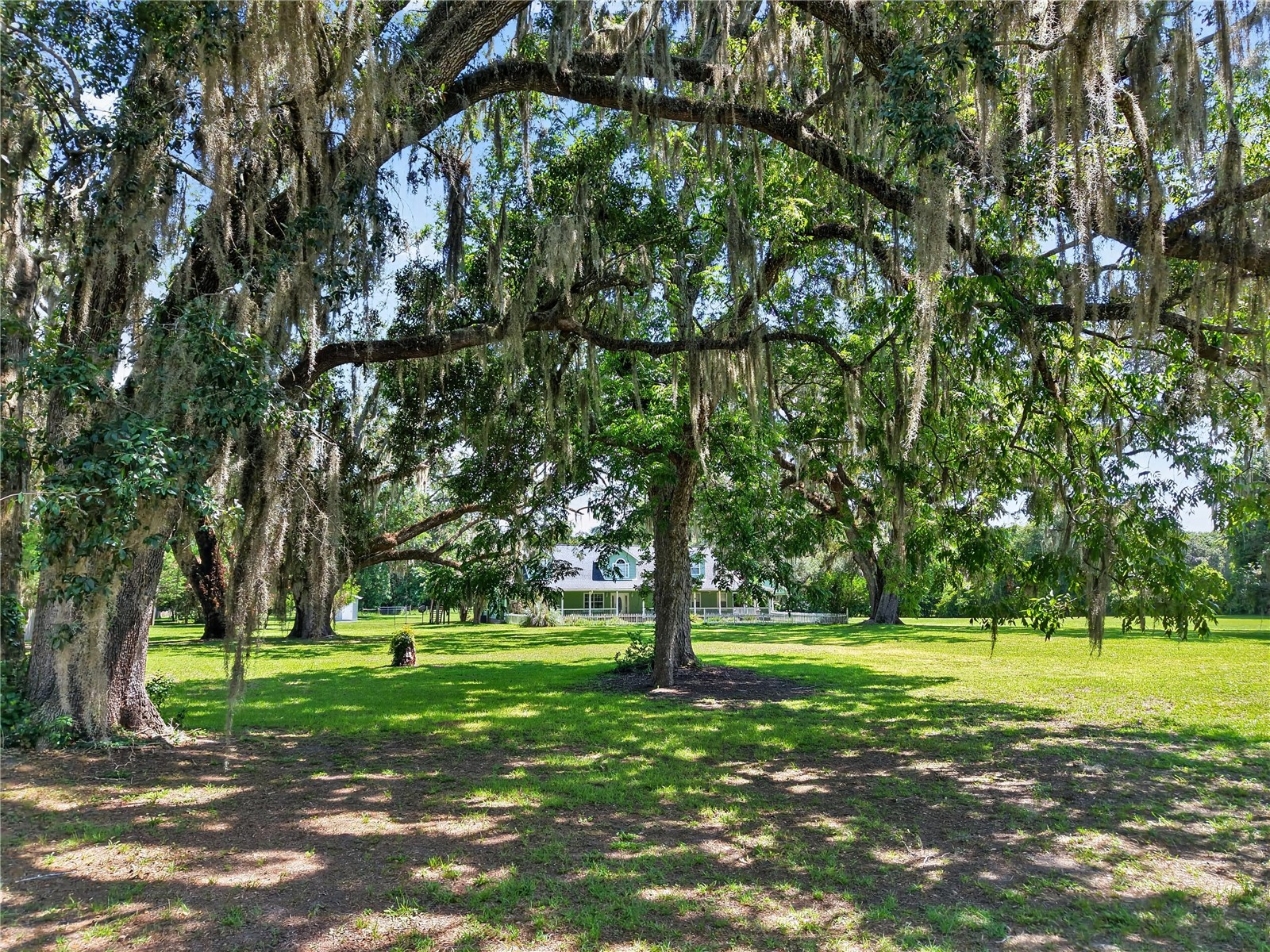 2039 SW State Road 26 Trenton FL 32693 OM727832 image8