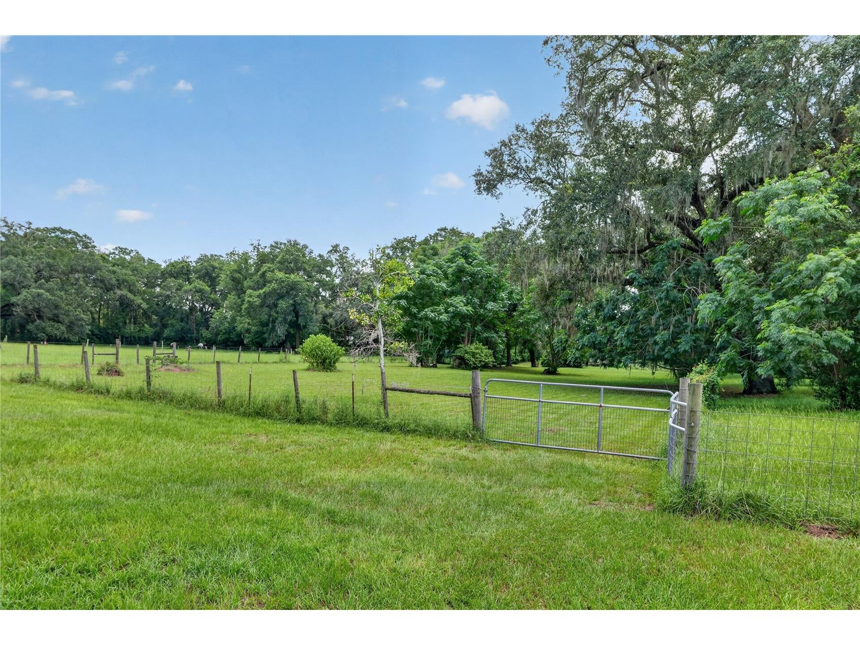 2039 SW State Road 26 Trenton FL 32693 OM727832 image91