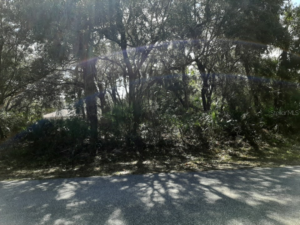 20395 Lorette Avenue Port Charlotte FL 33954 O6189048 image1