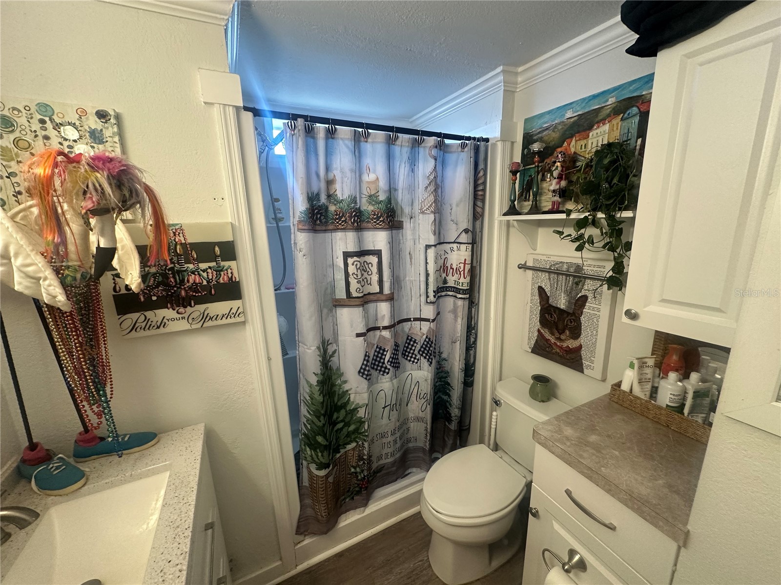 204 52nd Avenue Plaza E Bradenton FL 34203 A4675338 image9