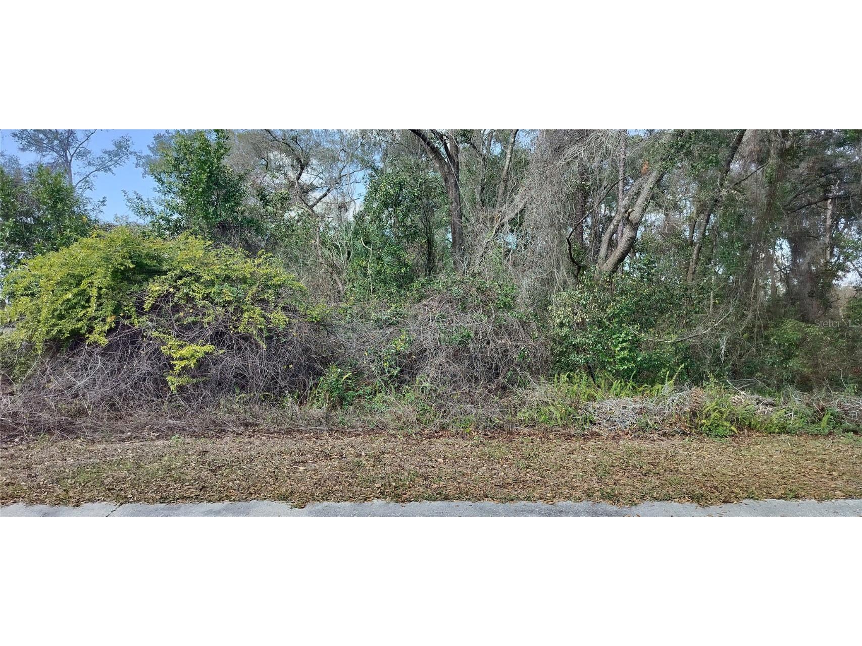 204 Adelphi Street Inverness FL 34452 TB8354537 image1