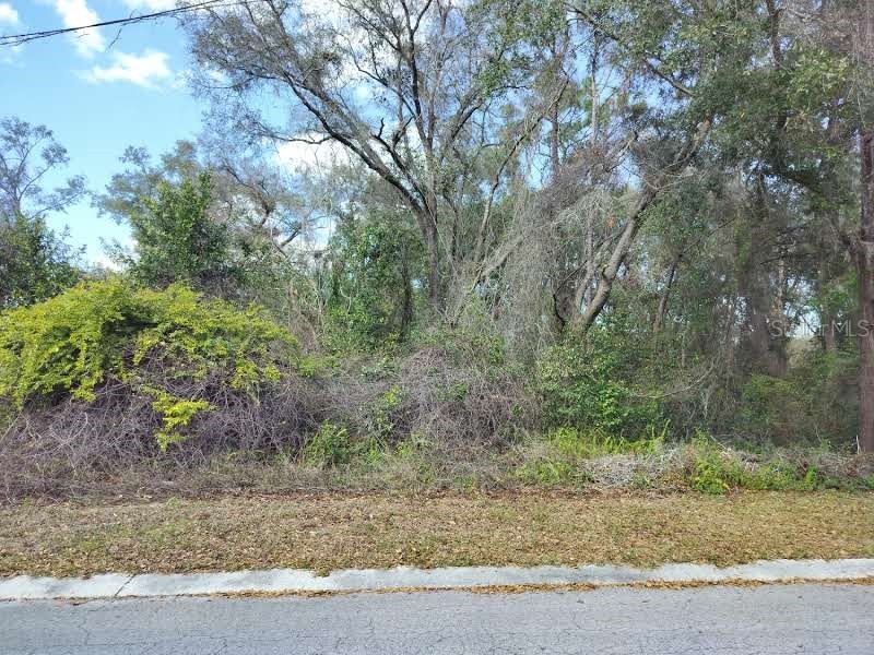 204 Adelphi Street Inverness FL 34452 TB8354537 image2