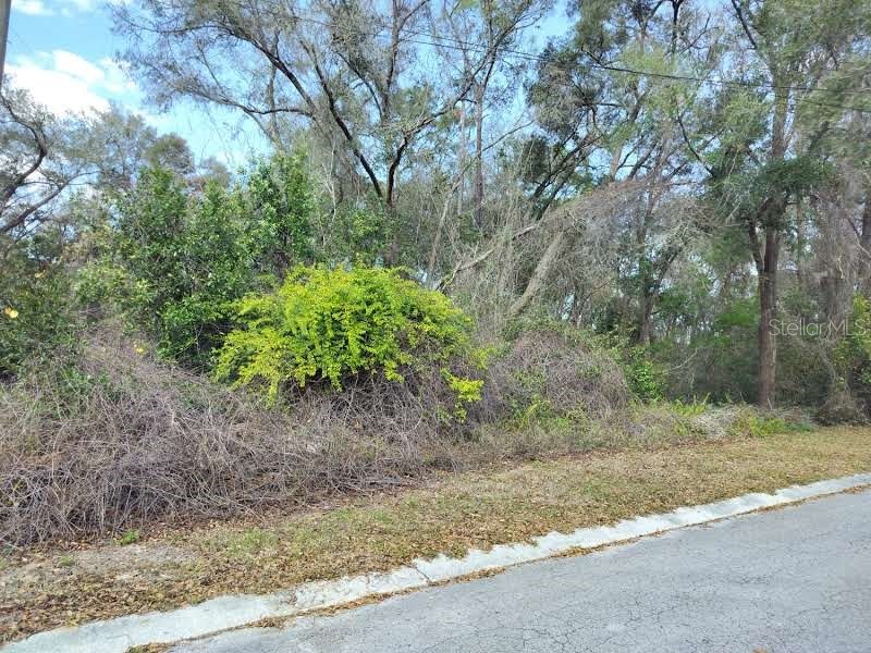 204 Adelphi Street Inverness FL 34452 TB8354537 image4