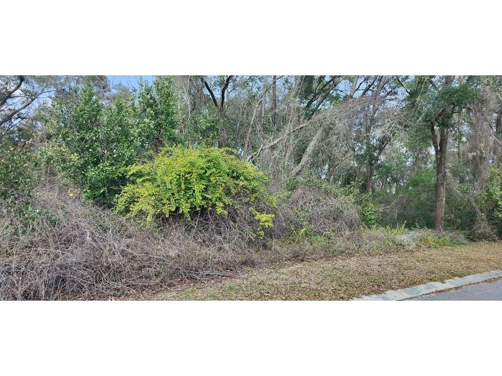 204 Adelphi Street Inverness FL 34452 TB8354537 image5