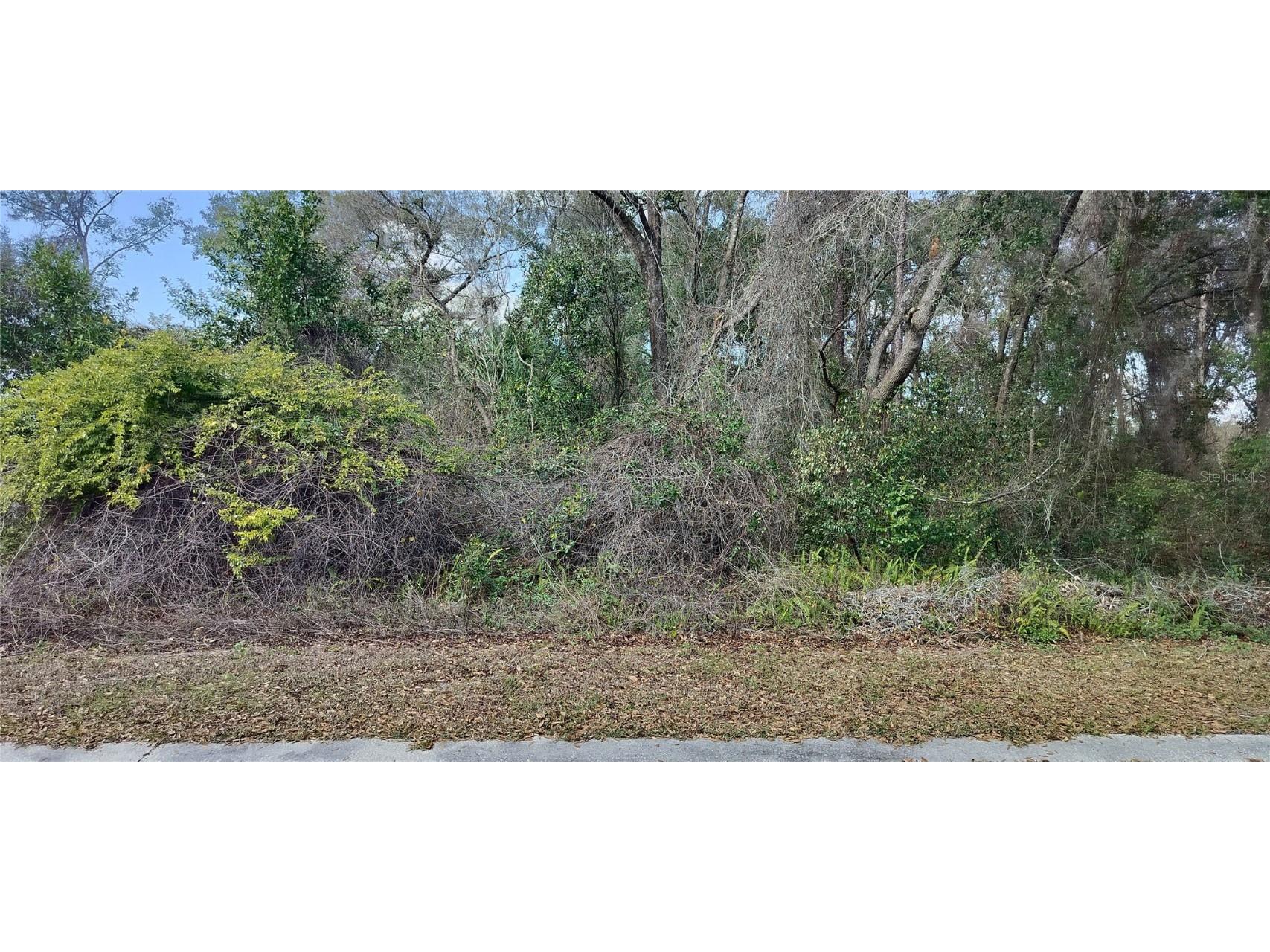 204 Adelphi Street Inverness FL 34452 TB8354537 image6