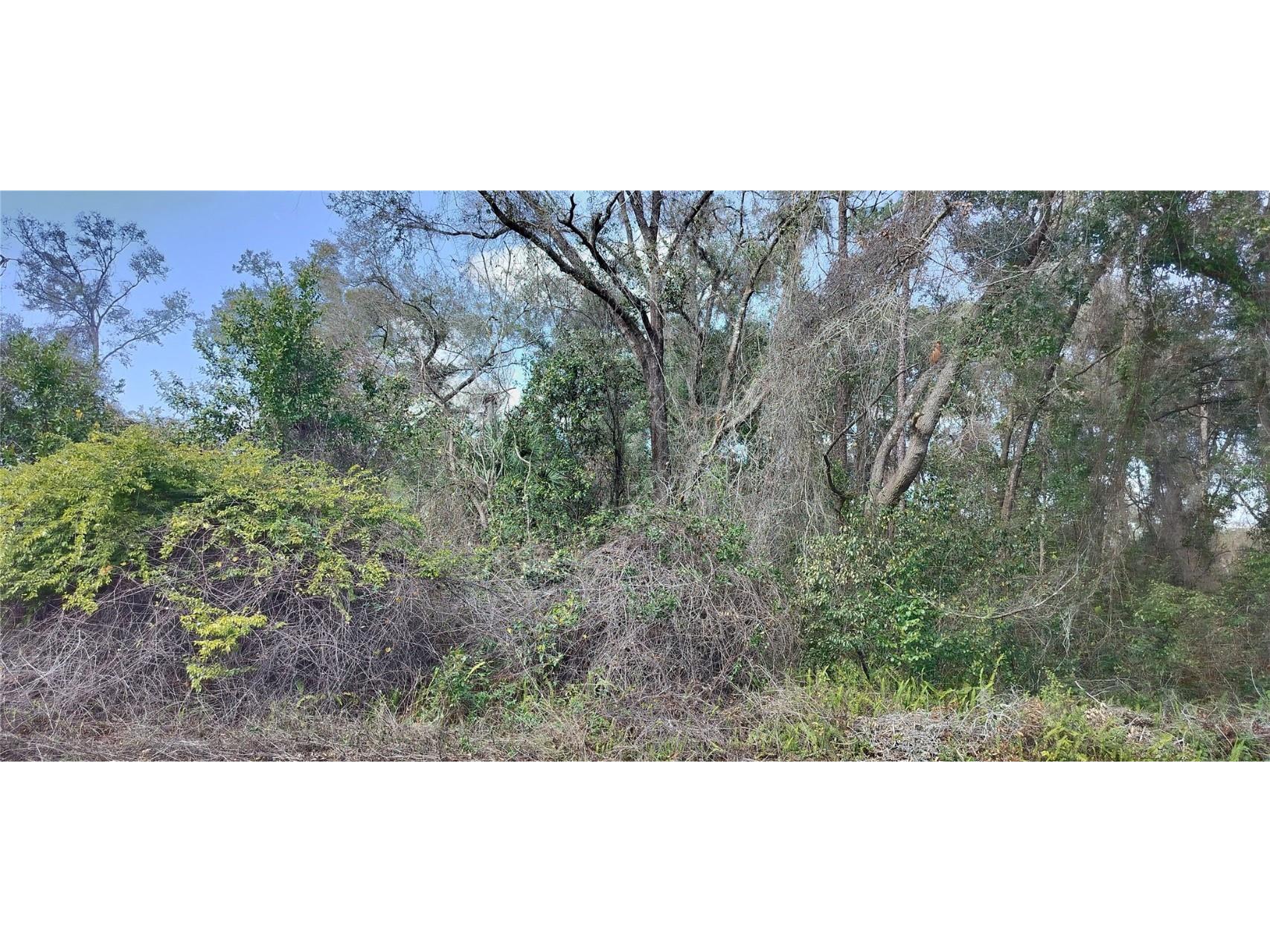 204 Adelphi Street Inverness FL 34452 TB8354537 image7