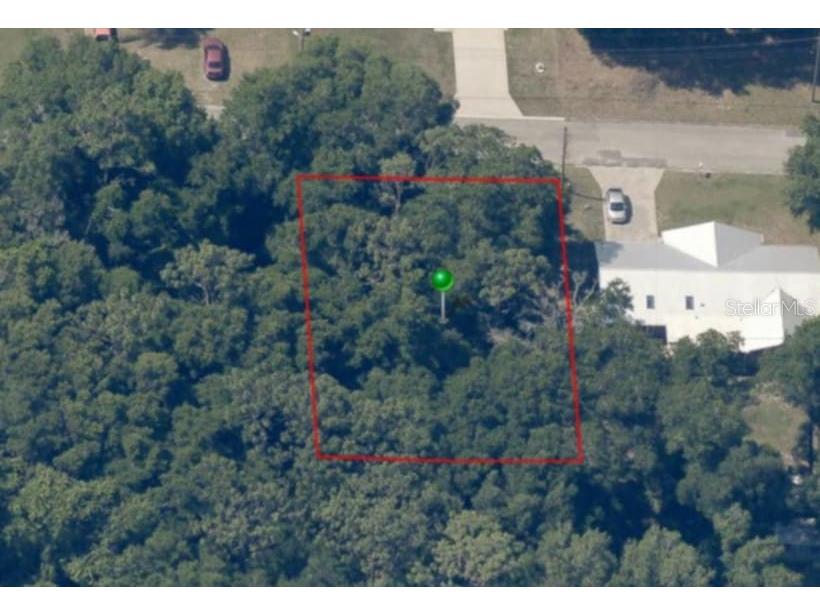 204 Adelphi Street Inverness FL 34452 TB8354537 image8