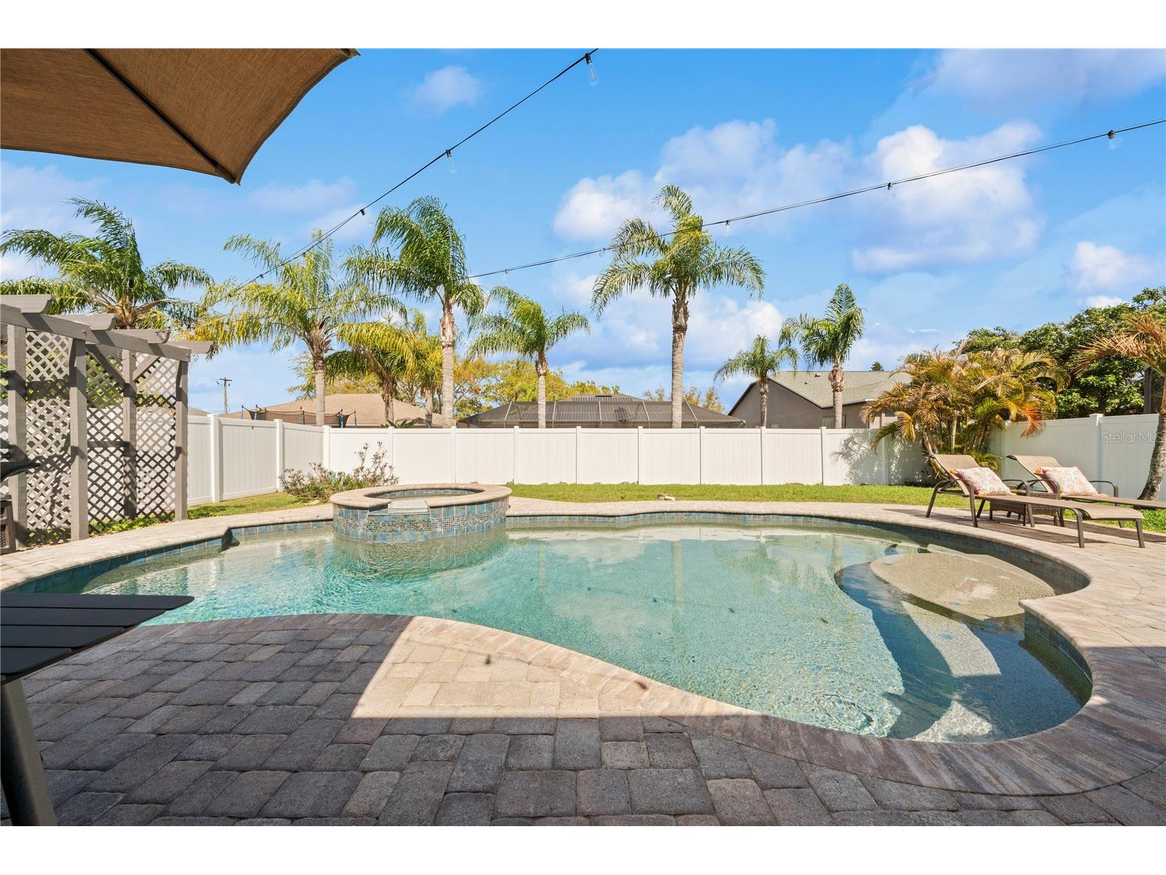 204 Bengal Circle Oldsmar FL 34677 O6388593 image24